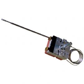 Termostat 5513069500