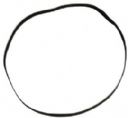Skivspelarrem Philips 170x7,5x0,8 mm