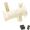 Pumphus